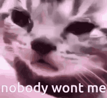 Cat Cry Nobody Loves Me GIF - Cat Cry Nobody Loves Me Nobody Wants Me GIFs