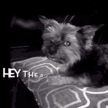 Hey There GIF - Hey There Sup GIFs