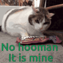 No Hooman Its Mine GIF - No Hooman Its Mine Cat GIFs