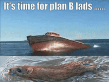 Plan B What Plan GIF - Plan B What Plan Best Laid Plans GIFs