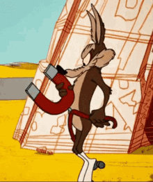 Looney Tunes Coyote GIF - Looney Tunes Coyote Chick Magnet GIFs