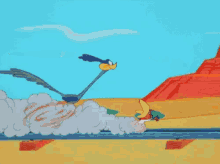 Roadrunner And Sylvester GIF - Race Sylvester Coyote GIFs