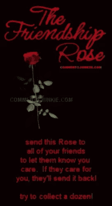 Friendship Rose Chain Message GIF - Friendship Rose Chain Message GIFs