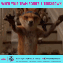 when your team scores touch down bunny bowl peter rabbit