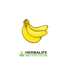 Herbalife Herbalife Nutrition GIF - Herbalife Herbalife Nutrition Herbalife Latino GIFs