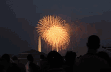 July4th Fireworks GIF - July4th Fireworks Celebration GIFs