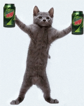 cat-mountain-dew.gif