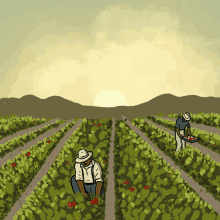Give Farmworkers A Path Toward Citizenship Farmworkers GIF - Give Farmworkers A Path Toward Citizenship Farmworkers Citizenship GIFs