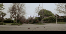 Halloween Haddonfield GIF - Halloween Haddonfield Trees GIFs