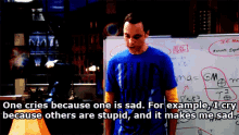 The Big Bang Theory Sheldon Cooper GIF - The Big Bang Theory Sheldon Cooper Makes Me Sad GIFs
