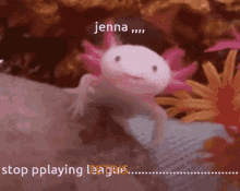 Uh Axolotl GIF - Uh Axolotl Jenna GIFs