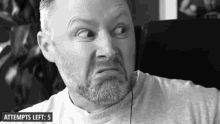 Limmy Angry Cat GIF - Limmy Angry Cat Disgusted GIFs