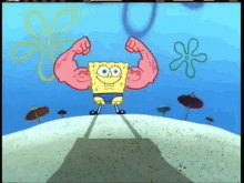 Spongearms GIF - Sponge Bob Square Pants Work Out Muscles GIFs