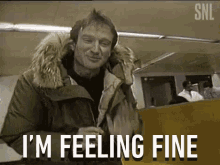 Im Feeling Fine Im Okay GIF - Im Feeling Fine Im Okay Robin Williams GIFs