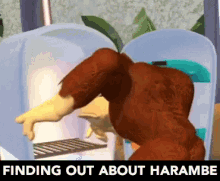 Finding Out About Harambe GIF - Donkey Kong Harambe Frown GIFs