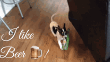 Puppy Beer GIF - Puppy Beer I Like Beer GIFs