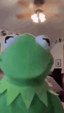 Kermit The Frog Tiktok GIF - Kermit The Frog Kermit Tiktok GIFs