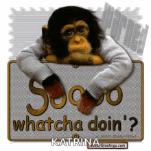 Wyd Katrina GIF - Wyd Katrina Sooo GIFs