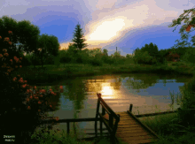 Peaceful Place GIF - Peaceful Place Water GIFs
