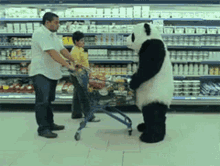 Panda Cart GIF - Panda Cart Shopping GIFs
