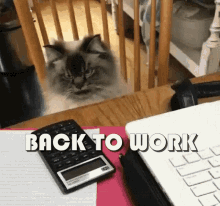 Back To Work Get Back To Work GIF - Back To Work Get Back To Work Working GIFs