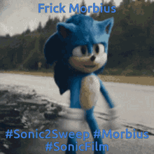 Sonic The Hedgehog2 Sonic Movie2 GIF - Sonic The Hedgehog2 Sonic Movie2 Sonic2sweep GIFs
