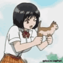 anime anime girl girl cat
