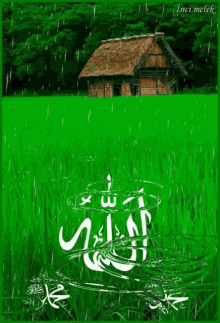 Allah Raining GIF - Allah Raining Farm GIFs