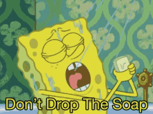 Dont Drop The Soap GIF - Dont Drop The Soap GIFs