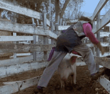 Pauly Shore Pig Attack GIF - Pauly Shore Pig Attack Wild Pig GIFs