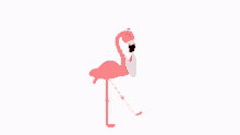 Flamingo Halay Halay Flamingo GIF - Flamingo Halay Flamingo Halay GIFs