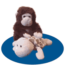 Monkey Stuffed Toy GIF - Monkey Stuffed Toy Turtle GIFs