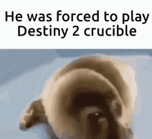 Forced To Play Destiny2 GIF - Forced To Play Destiny2 Crucible GIFs