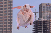 Flying Piggy Floating GIF - Flying Piggy Floating Fat GIFs