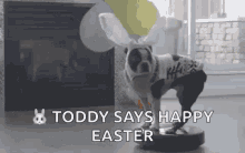 happy easter toddy dog cute roomba