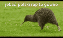 fixan22 rap