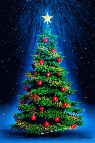 Christmas Tree Sparkle GIF - Christmas Tree Sparkle Star GIFs