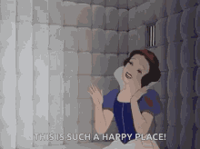 Snow White This Is Such A Happy Place GIF - Snow White This Is Such A Happy Place Padded Cell GIFs