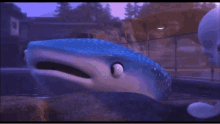 Finding Dory GIF - Finding Dory Destiny GIFs