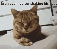 jupiter head