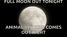Full Moon Sky GIF - Full Moon Sky Night GIFs