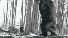 Bam GIF - Bigfoot Sasquatch Stomp GIFs