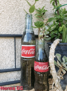 Coca Cola Plantas GIF - Coca Cola Plantas Plants GIFs