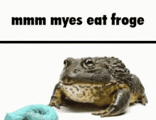 Froge Mmm Myes Eat Froge GIF - Froge Mmm Myes Eat Froge Frog GIFs