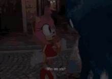 Sonamy Sonic GIF - Sonamy Amy Sonic GIFs