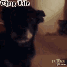 dog thug life original gangsta
