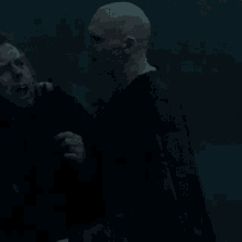 Harry Potter Hp GIF - Harry Potter Hp Voldemort GIFs