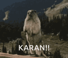 Karan GIF - Karan GIFs