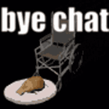Bye Chat Cat Lady GIF - Bye Chat Bye Cat Lady GIFs