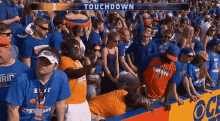 Tennessee Fan Having A Good Time GIF - Tennessee Good Time Fan GIFs